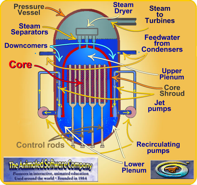 Boiling Water Reactors have a lot of pumps