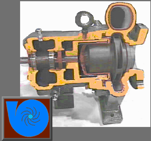 Volute Casing Pumps