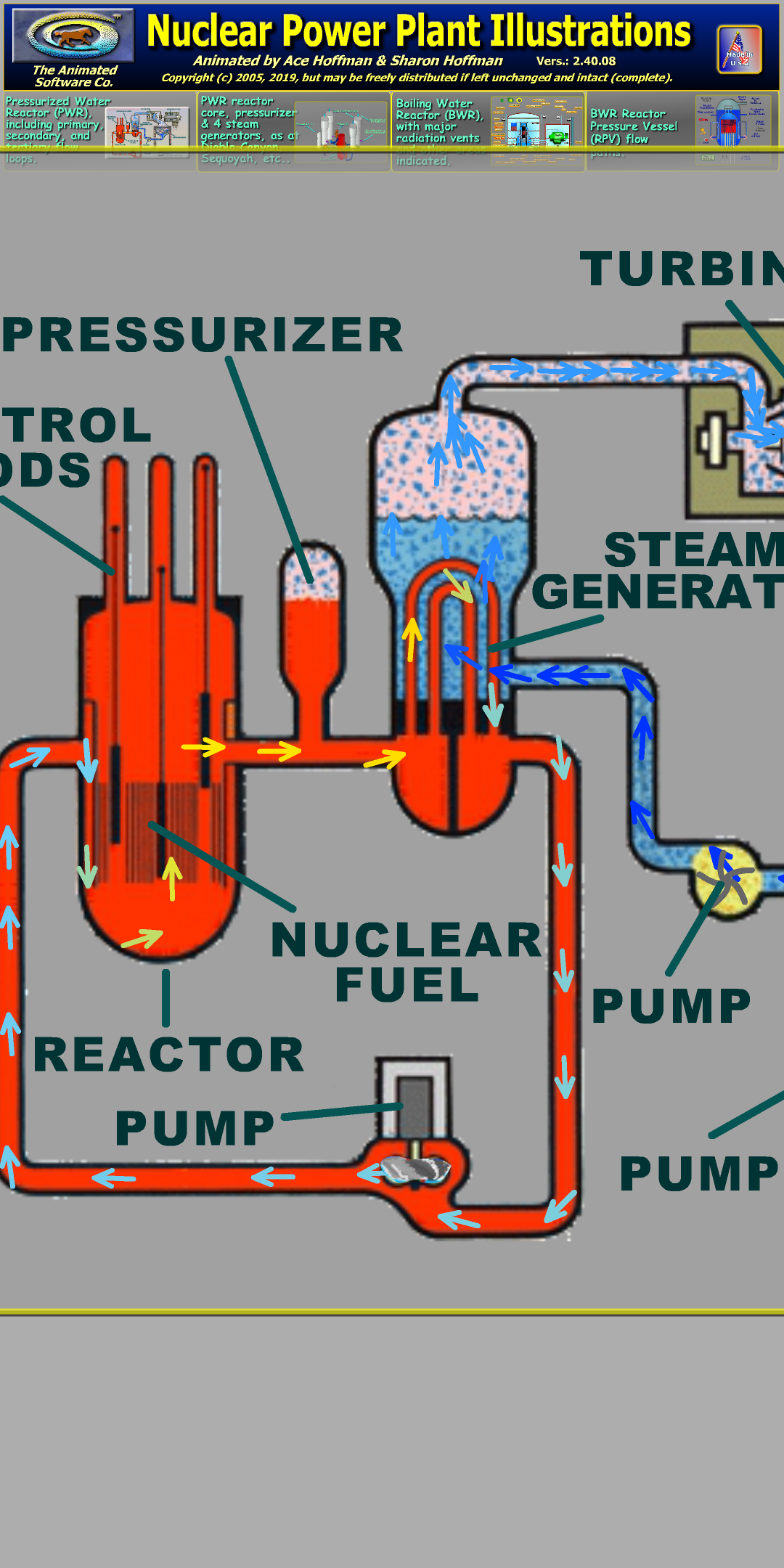 Animated PWR and BWR nuclear reactor types