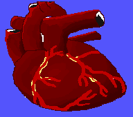 coronary
