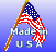 Made In USA Flag